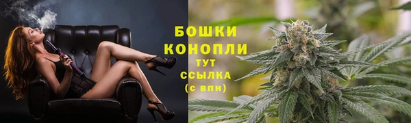 эйфоретик Каменка
