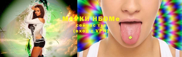 ГАЛЛЮЦИНОГЕННЫЕ ГРИБЫ Инсар