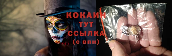 ГАЛЛЮЦИНОГЕННЫЕ ГРИБЫ Инсар