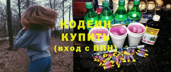 ГАЛЛЮЦИНОГЕННЫЕ ГРИБЫ Инсар