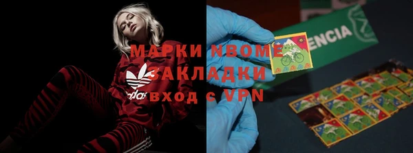 ПСИЛОЦИБИНОВЫЕ ГРИБЫ Каменногорск