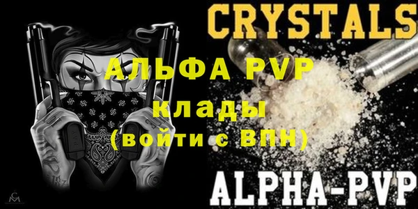 ГАЛЛЮЦИНОГЕННЫЕ ГРИБЫ Инсар