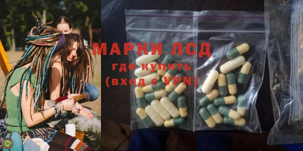 ГАЛЛЮЦИНОГЕННЫЕ ГРИБЫ Инсар