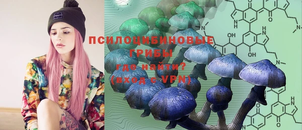 a pvp Иннополис