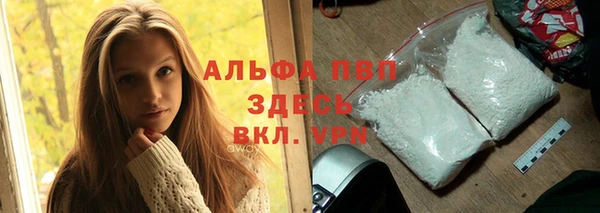 ПСИЛОЦИБИНОВЫЕ ГРИБЫ Каменногорск